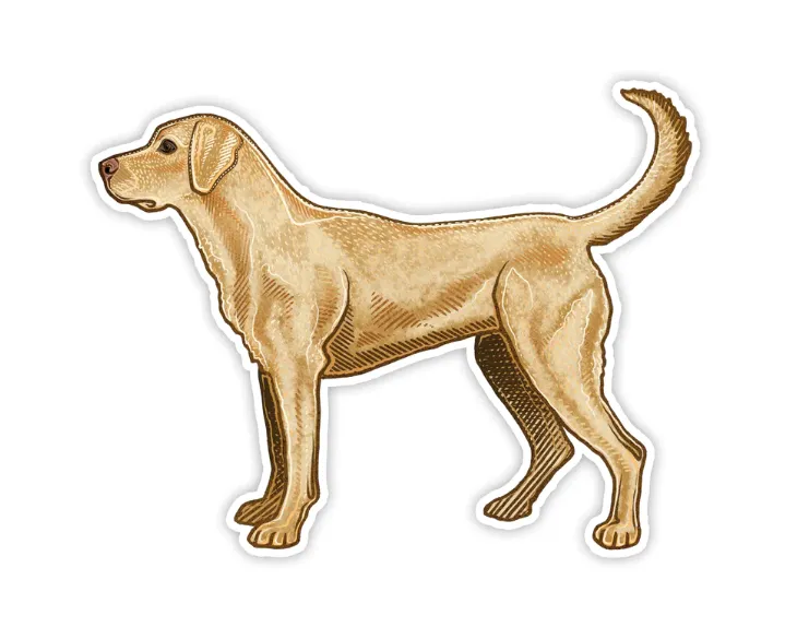 Casey Underwood Yellow Lab Decal