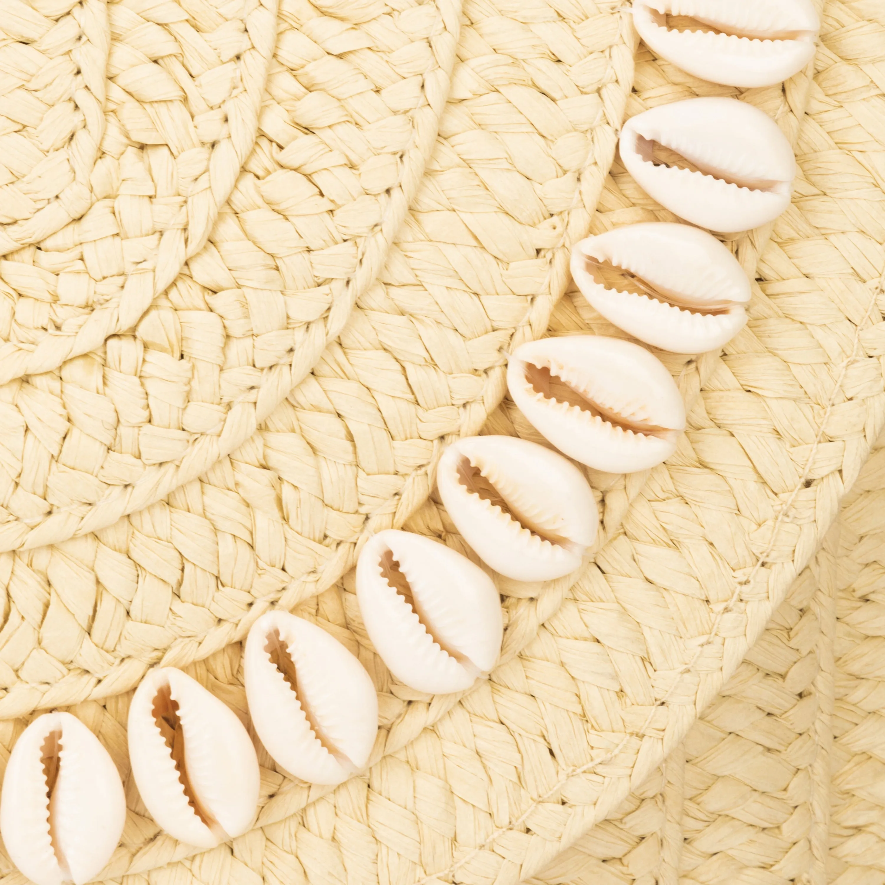 Sunny Braided Clutch
